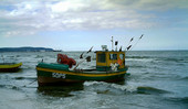 Fishing boats1